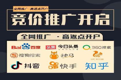竞价排名案例分析：电商行业